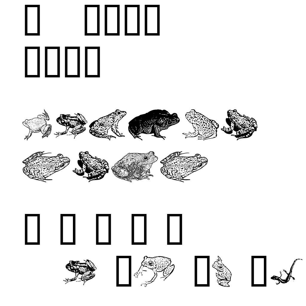AmphibiPrint