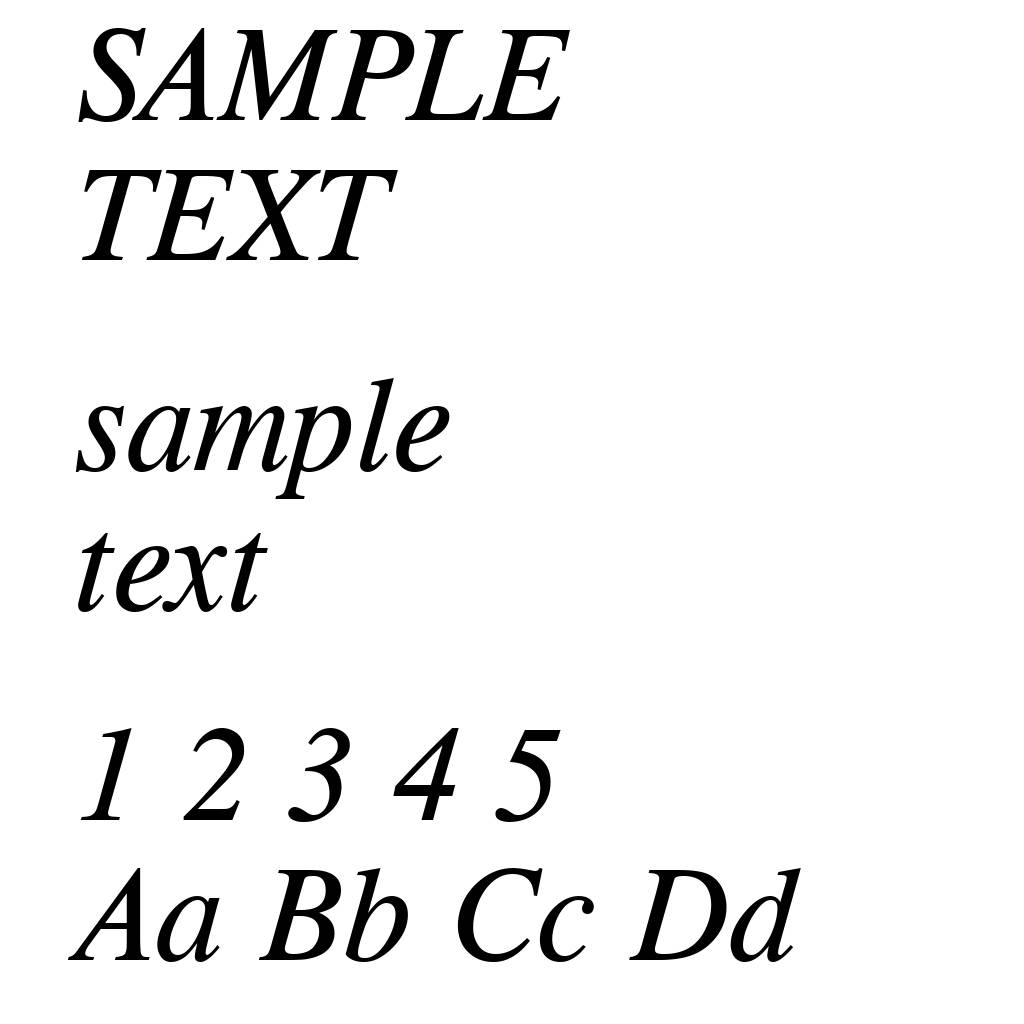 CG Times Italic