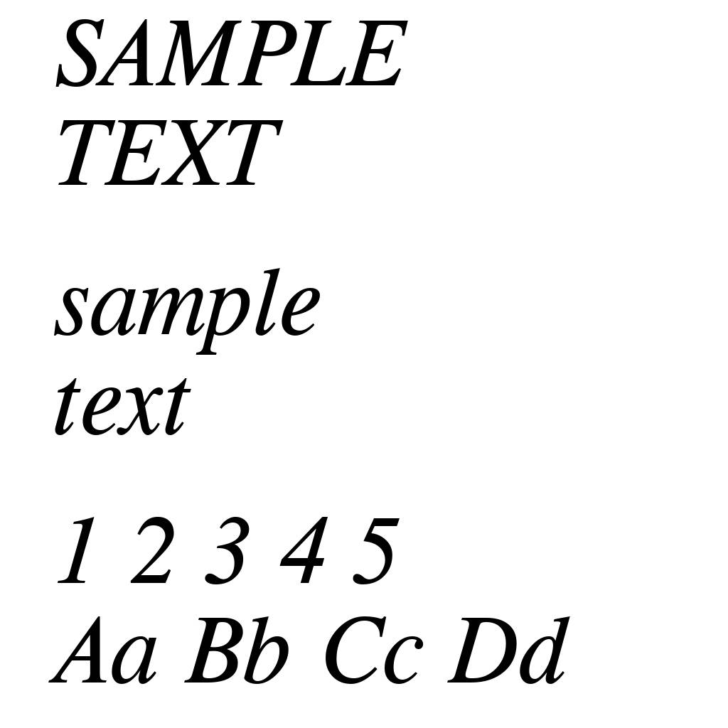CG Times Italic