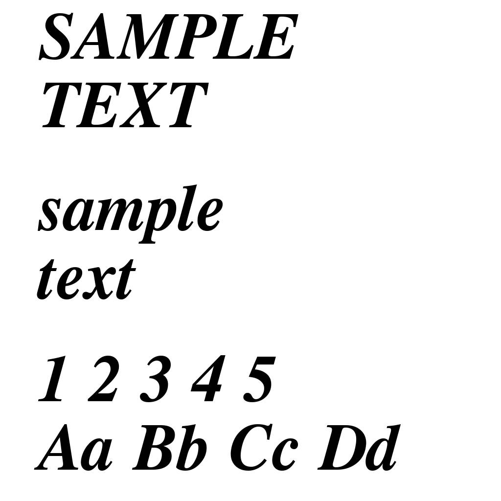 CG Times Bold Italic