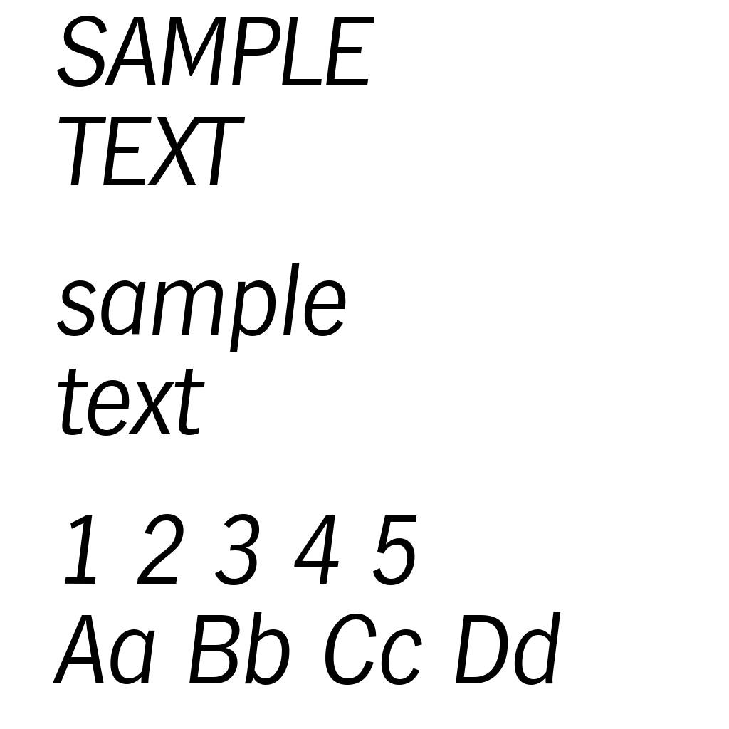 HamburgSerial-Light-Italic