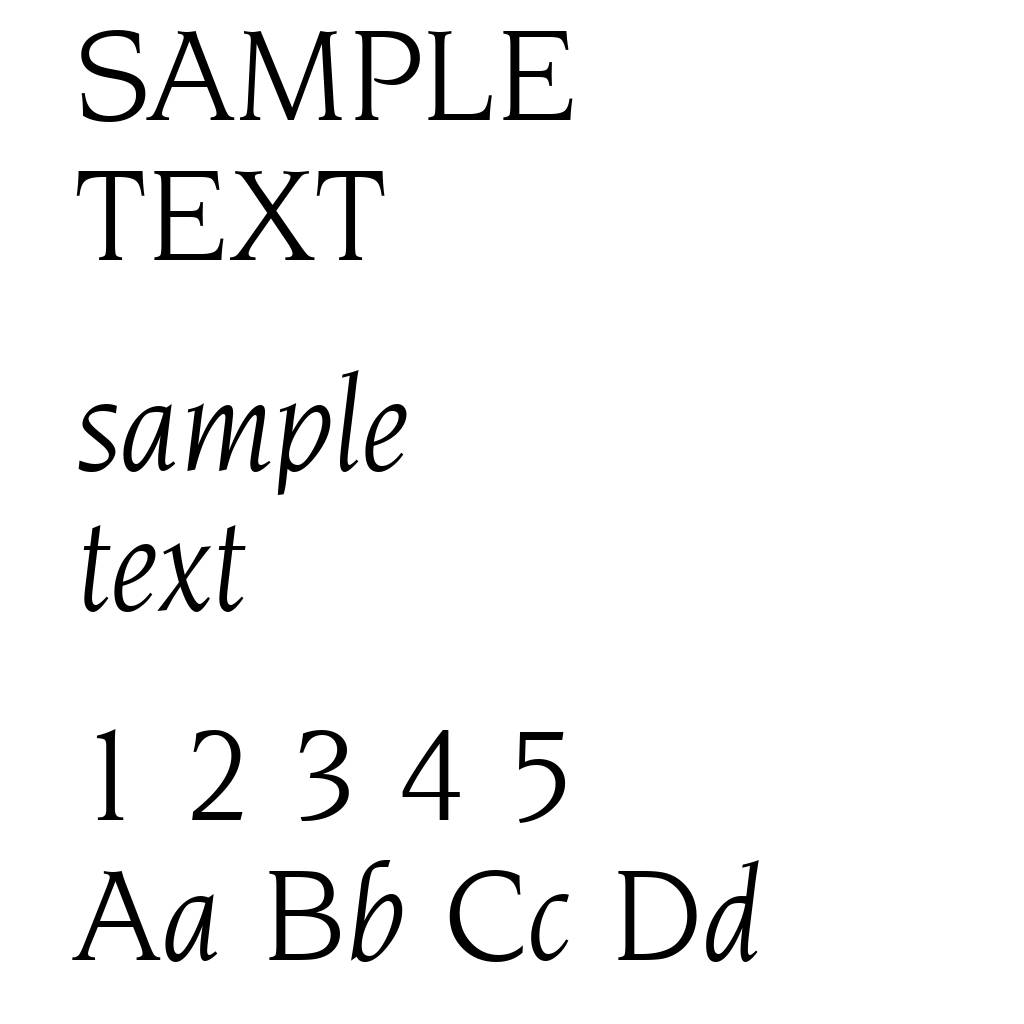 Navarro-BookItalic