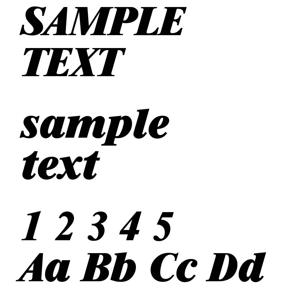 RiccioneSerial-Heavy-Italic