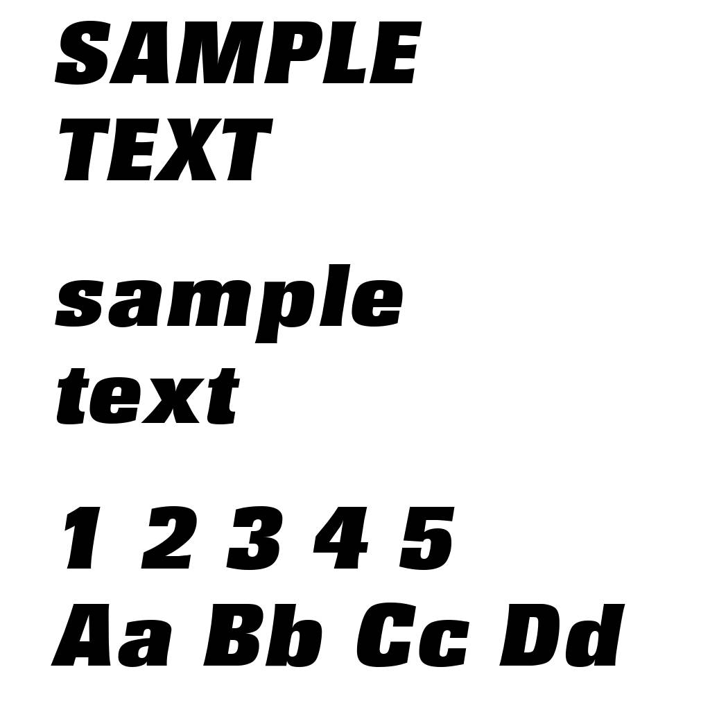 RochesterSerial-Black-Italic
