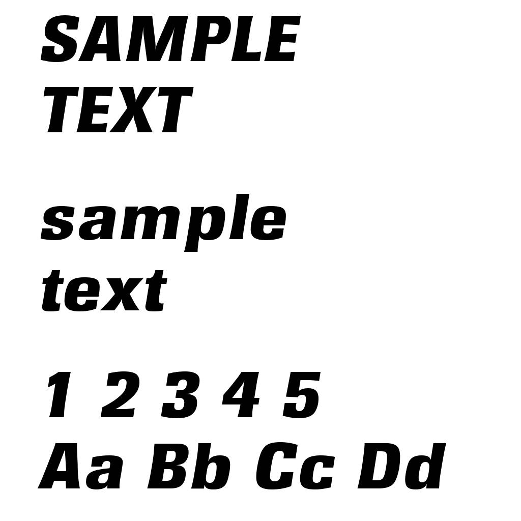 RochesterSerial-Heavy-Italic