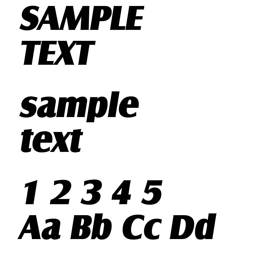 SalzburgSerial-Heavy-Italic