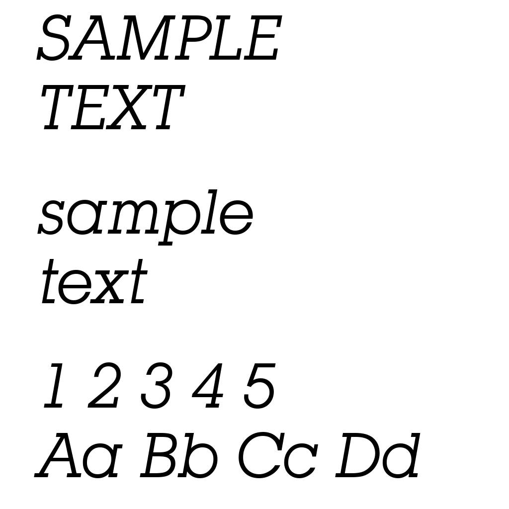 SquareSerif-Italic