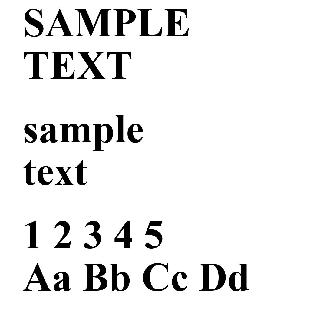 Times New Roman Bold