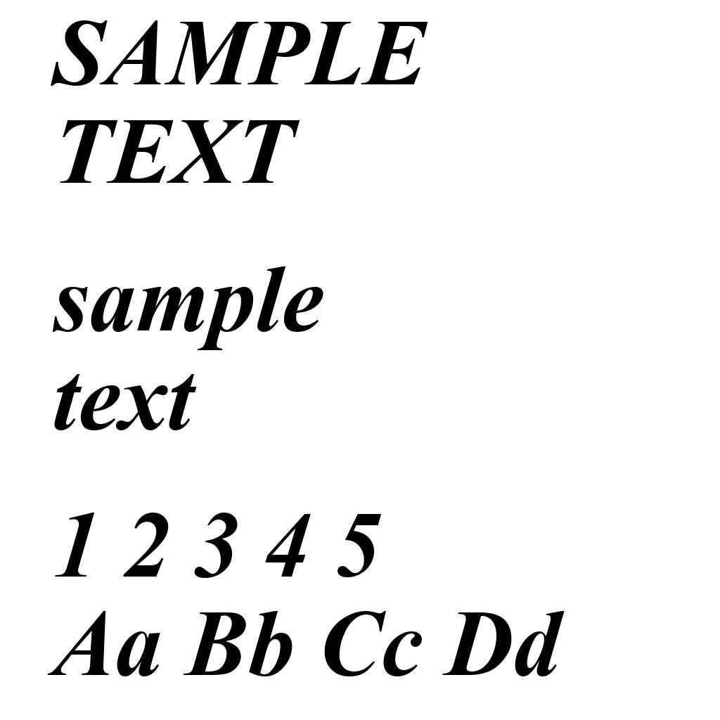 Times New Roman Bold Italic