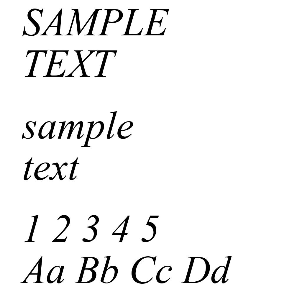Times New Roman Italic