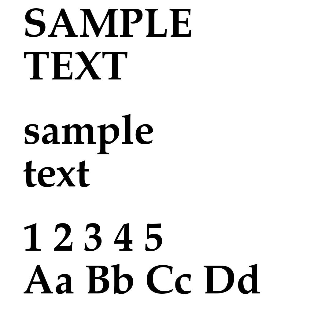Zapf Calligraphic 801 Bold BT