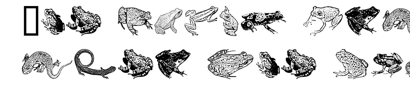AmphibiPrint