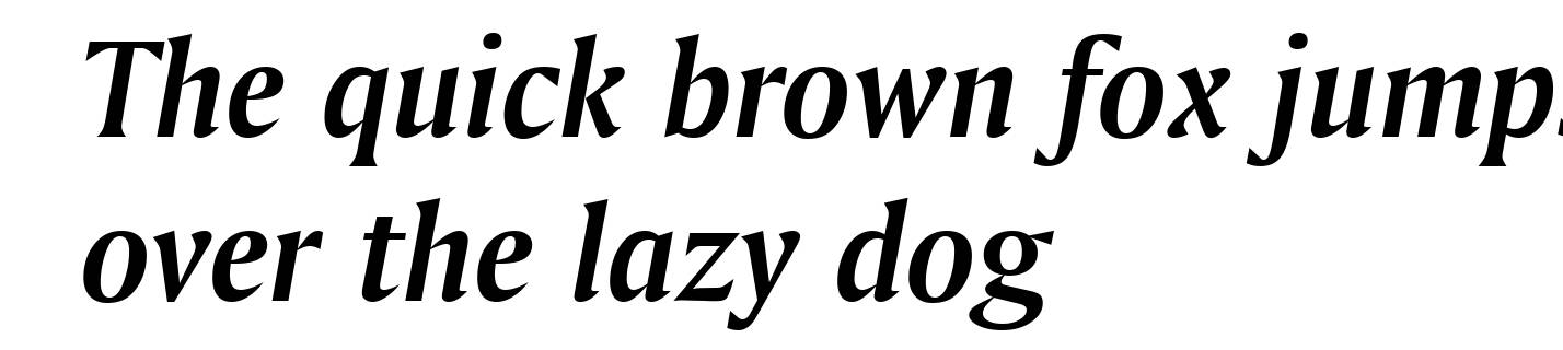 Amerigo Bold Italic BT