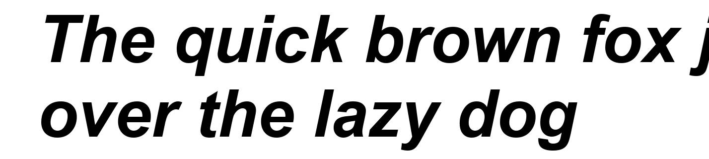 Arial Bold Italic