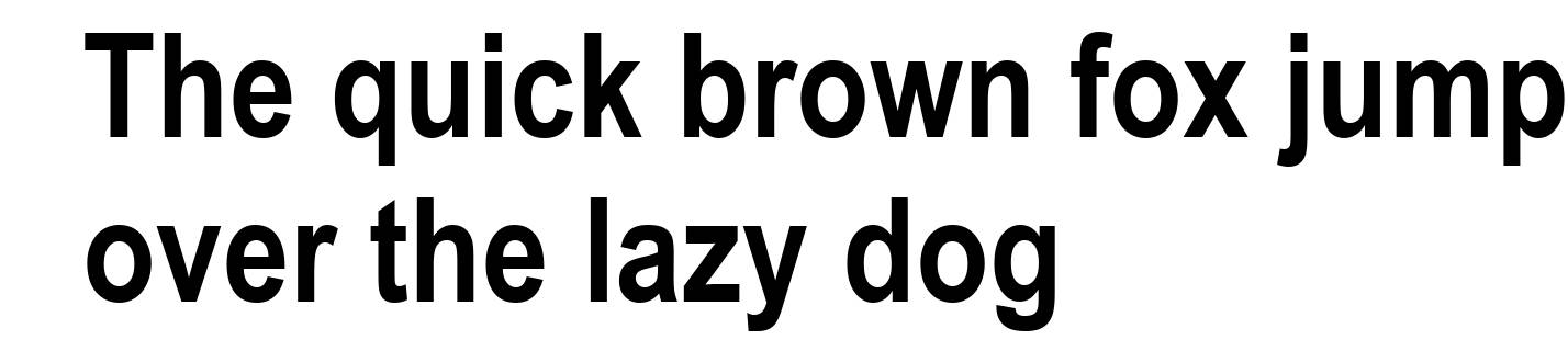 Arial Narrow Bold