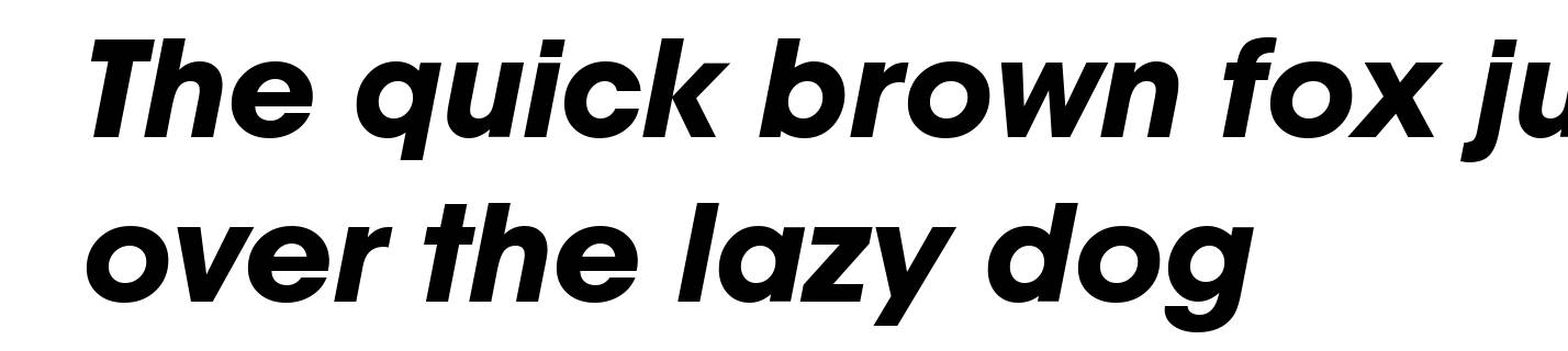 Avignon-Bold-Italic