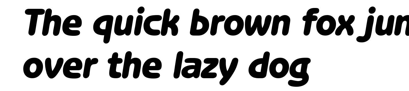 B691-Sans-Heavy-Italic