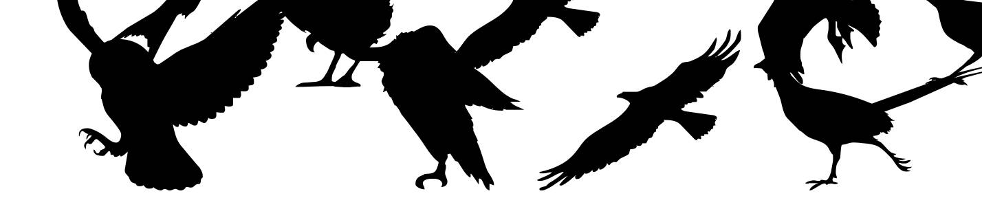Birds of a Feather