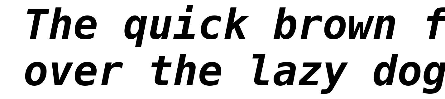 Bitstream Vera Sans Mono Bold Oblique