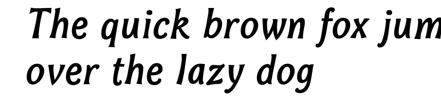 Bonobo Bold Italic