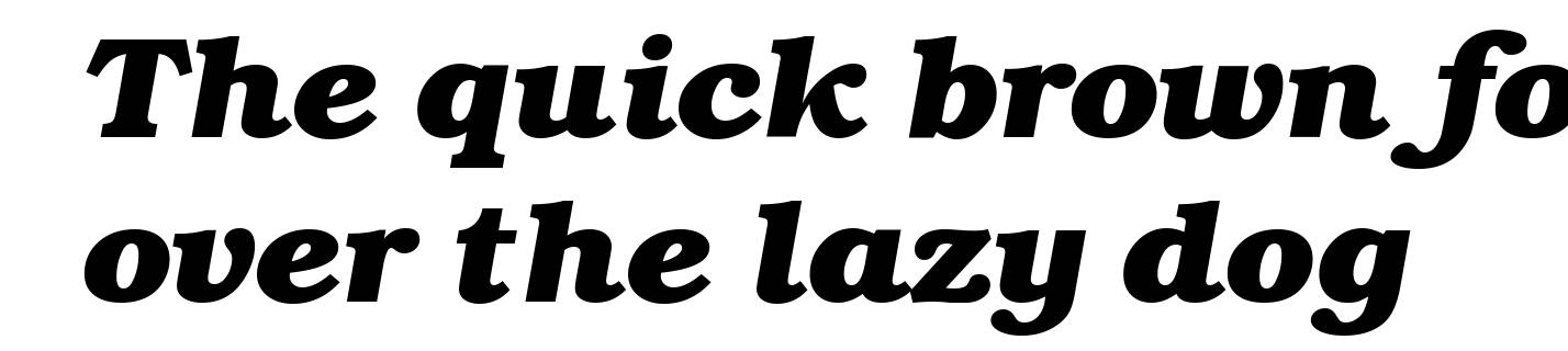 Book-Bold-Italic