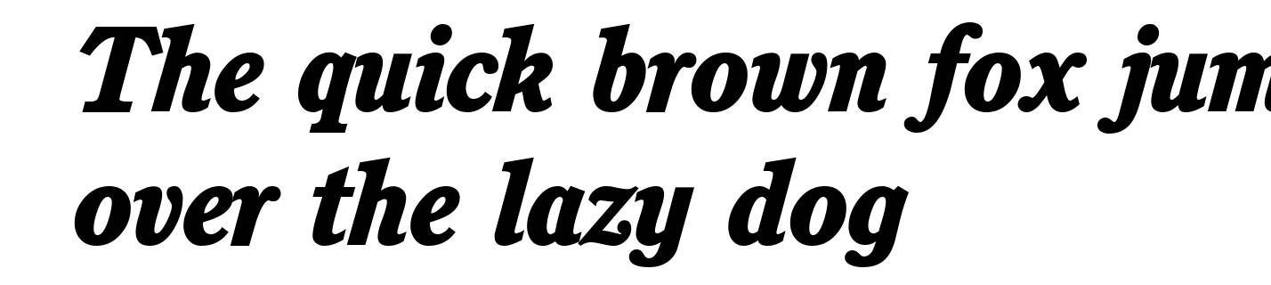 C851-Roman-Heavy-Italic