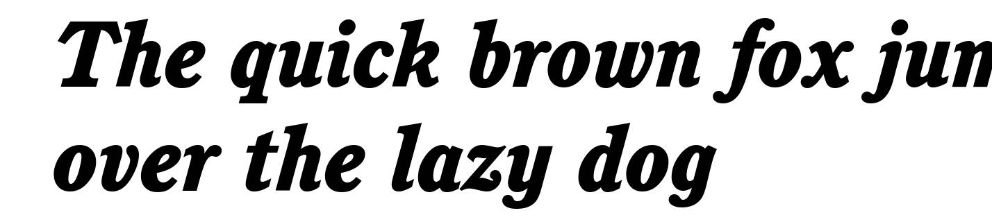 Calgary-Heavy-Italic