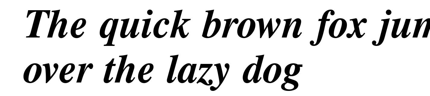 CG Times Bold Italic