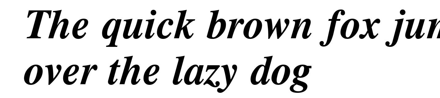 CG Times Bold Italic