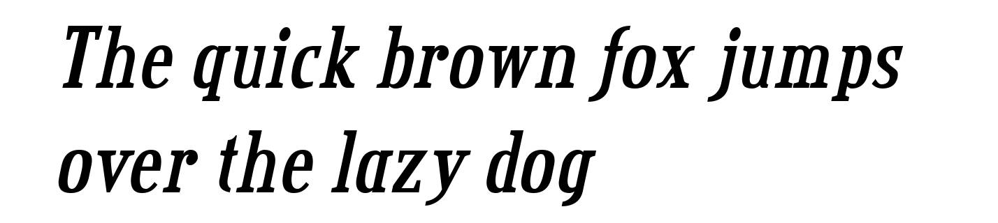 Credit Valley Bold Italic