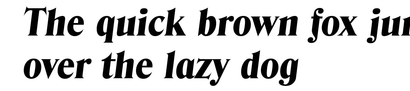 DenverSerial-Heavy-Italic