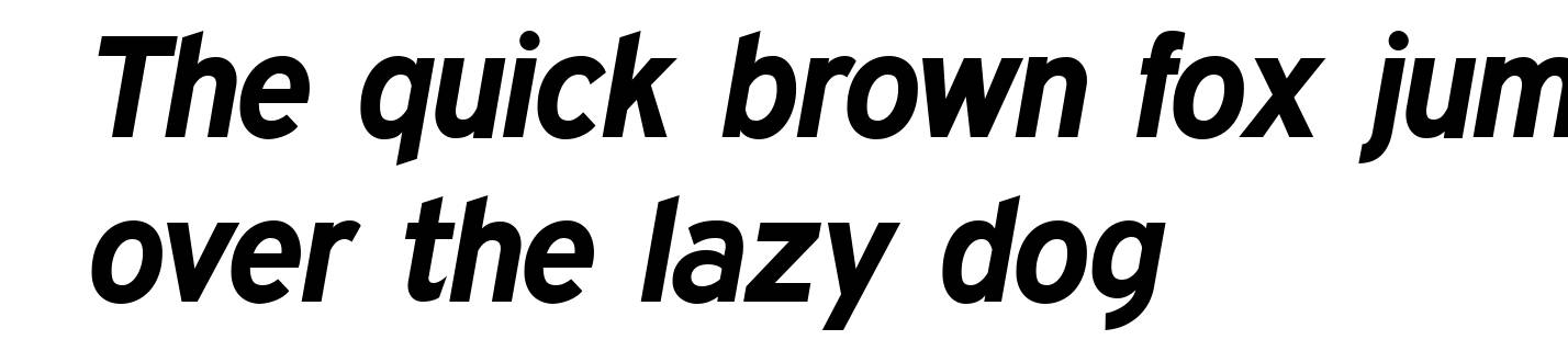 Expressway Rg Bold Italic
