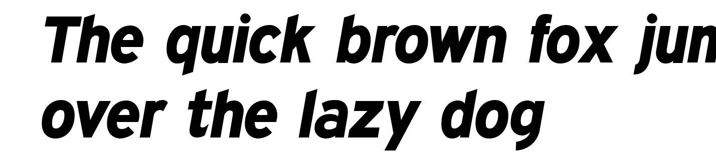 Expressway Xb Italic