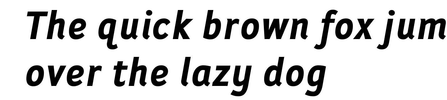 Folder Bold Italic