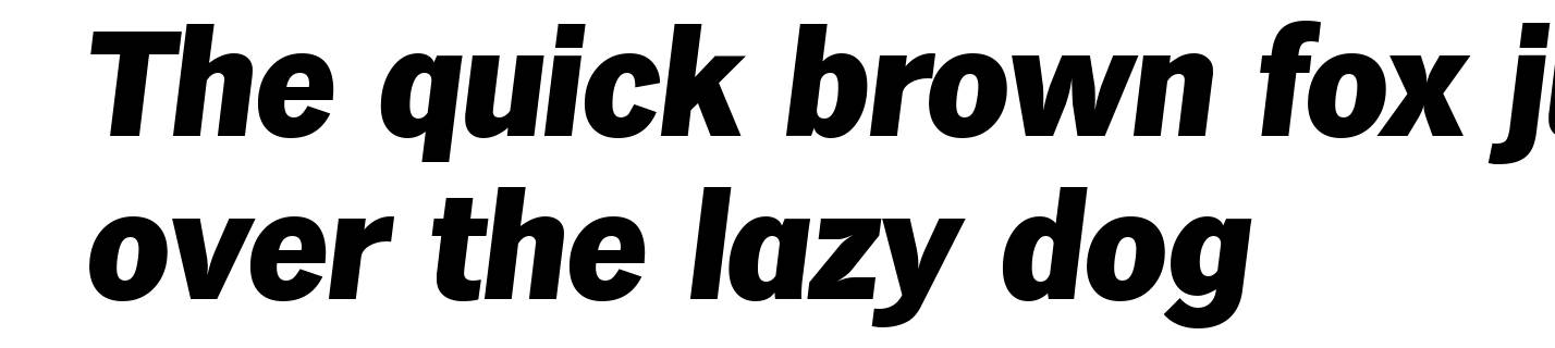 HamburgSerial-Heavy-Italic