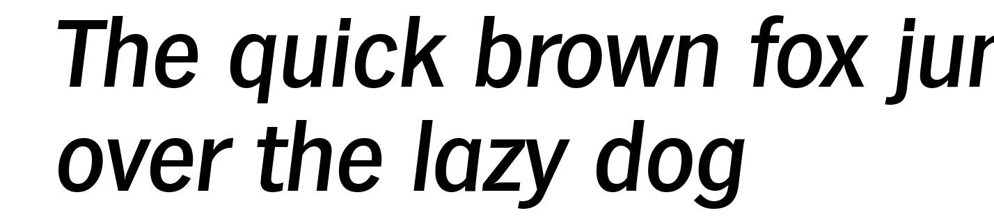 HamburgSerial-Medium-Italic