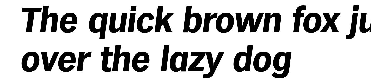 HamburgSerial-Xbold-Italic