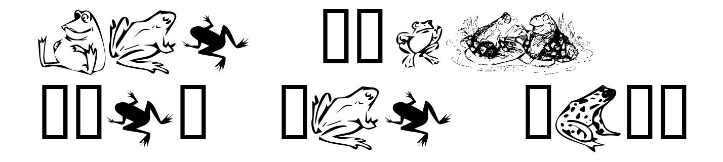 KR Frogs for Jennifer