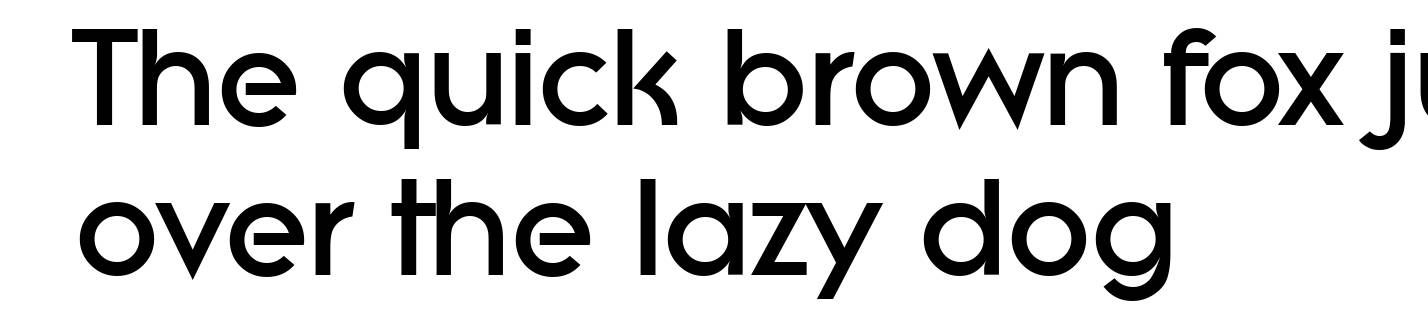 LiteraSerial-Heavy-Regular