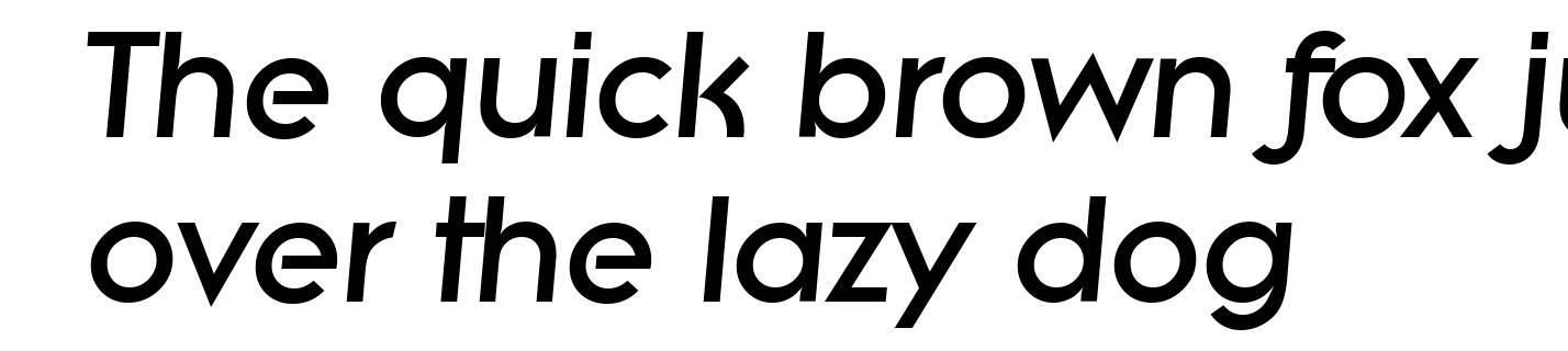 LiteraSerial-Heavy-Italic
