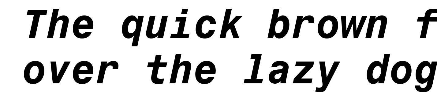 Monospace 821 Bold Italic BT