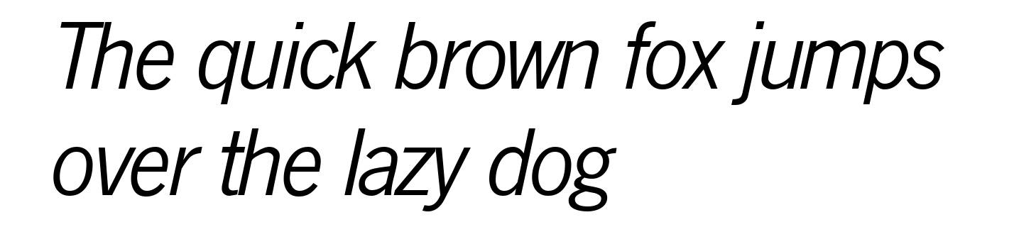 N691-Sans-Italic