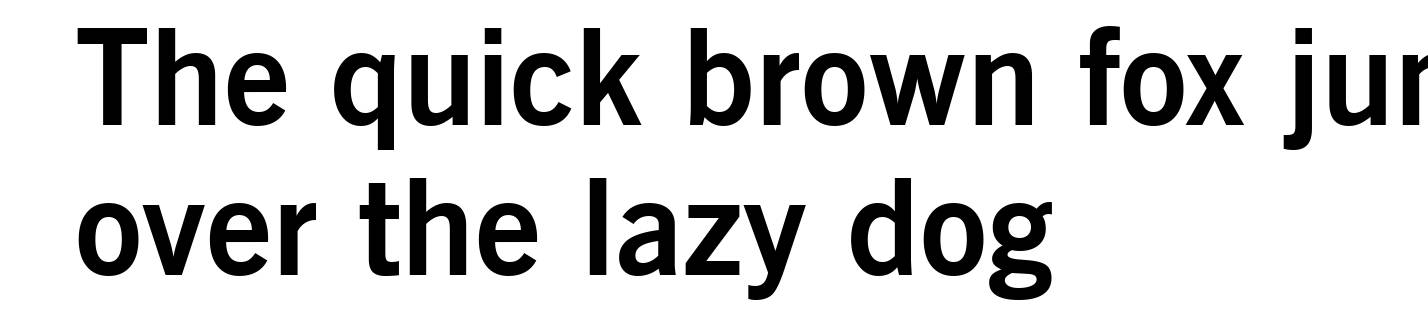 News Gothic Bold BT