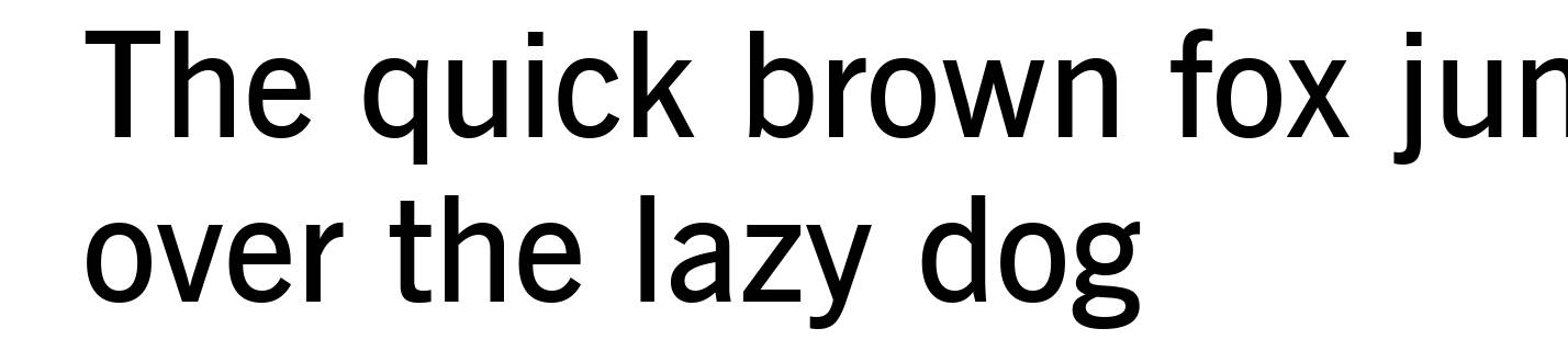 News Gothic Demi BT