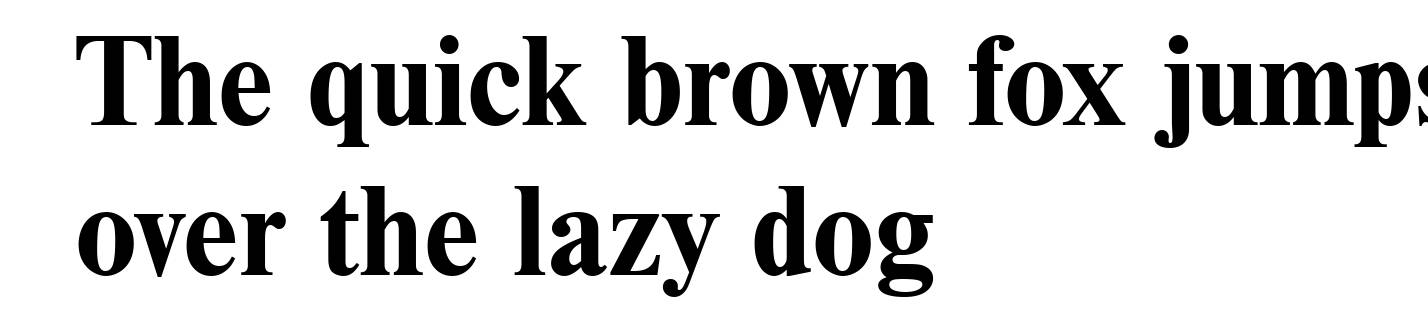 NimbusRomDGR Bold