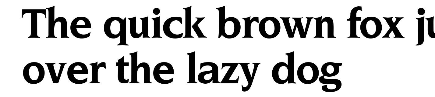 Novelty-Bold