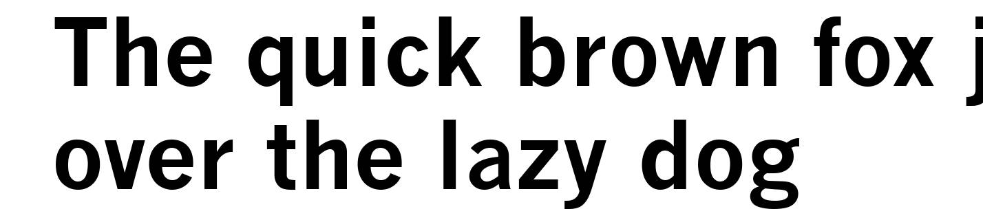 News Gothic MT Bold