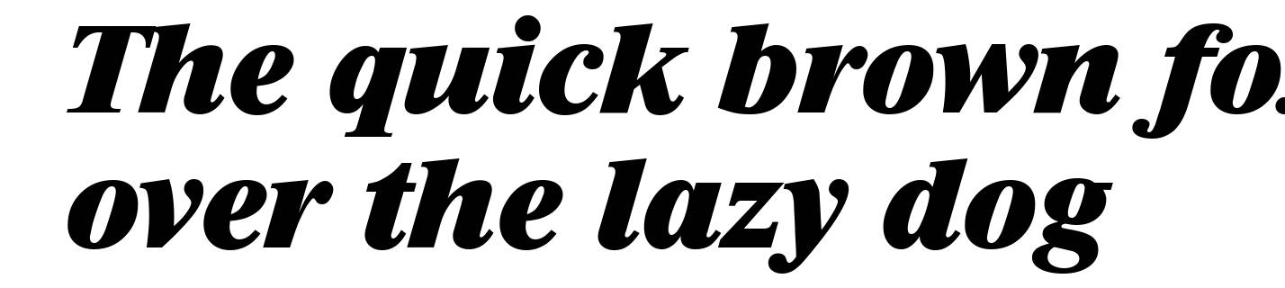 RiccioneSerial-Heavy-Italic