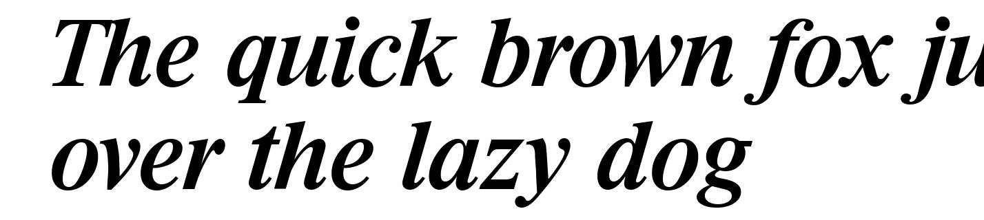 RiccioneSerial-Medium-Italic