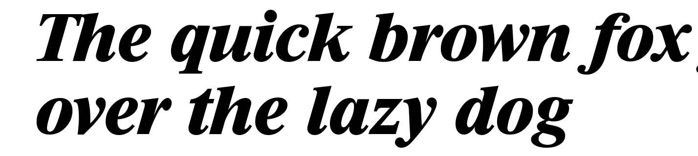 RiccioneSerial-Xbold-Italic